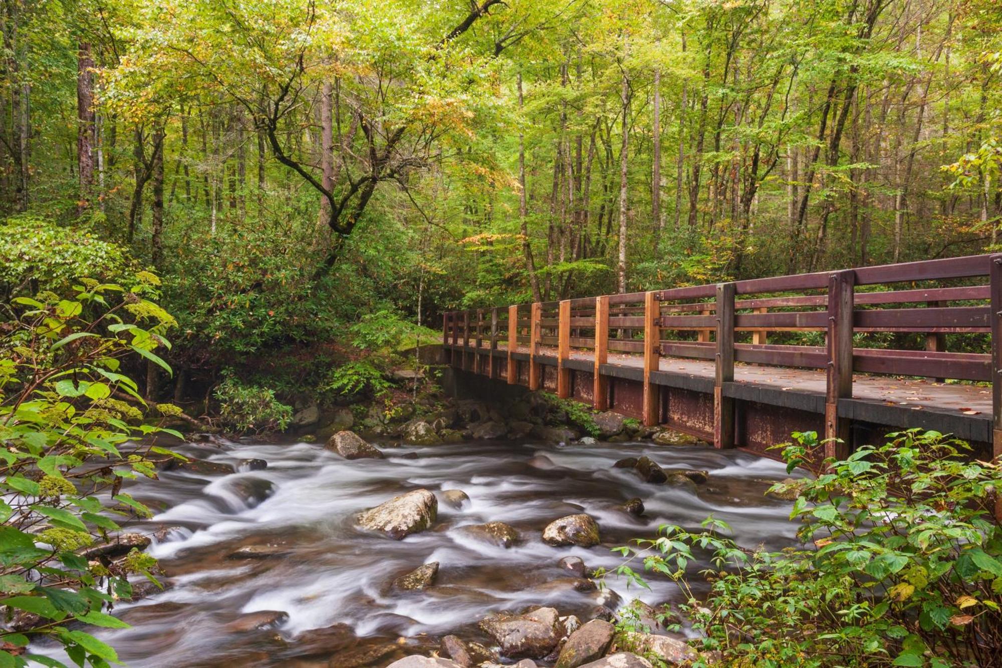 Breathtaking View, Hot Tub, 1089 Of Free Attraction Tickets For Each Paid Day, Dollywood And More! Sevierville Ngoại thất bức ảnh